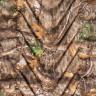 Надувной коврик KLYMIT STATIC V REALTREE EDGE Камуфляж 06SVED02C